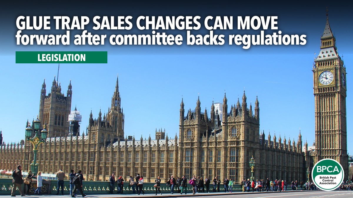 glue-trap-sales-changes-move-forward-hero glue-trap-sales-changes-move-forward-hero